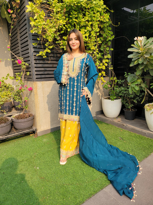 Sharara Suit with multi work
