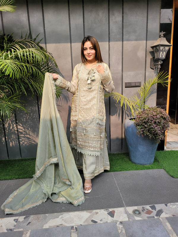 Sharara Suit with all over lace work