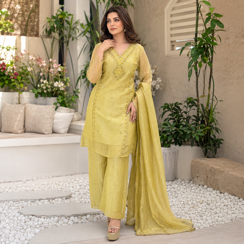 Dilbar RaaZ suit - Pure tissue