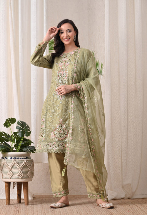 Noor-E-Gulnaar - Pure Organza