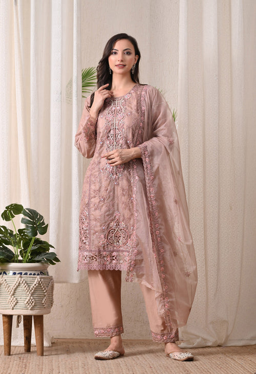 Noor-E-Gulnaar - Pure Organza
