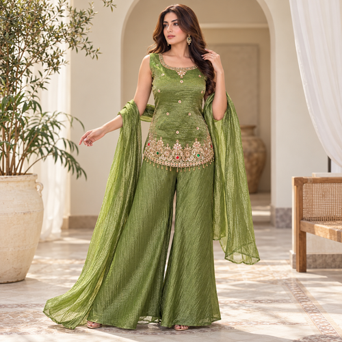 Dilruba noor indo western dress